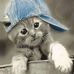 Gilbert Shaw - Facebook