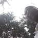 Gilbert Shepherd - Facebook
