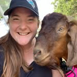 Gilbert Simpson - @_gilbert_the_goat_ - Instagram