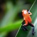 Gilberto Simpson - Facebook