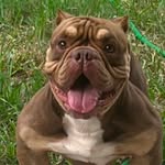 Gilbert Solano - @solanoo12000 - Instagram