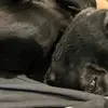 Spencer Gilbert - @spencer.gilbert7 - TikTok