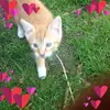 gilbertstoll - @gilbertstoll - TikTok