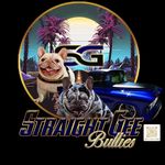 Gilberto - @straight_gee_bullies_gilbert - Instagram