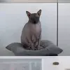 Gilbert Sweety - @gilbert.sweety3 - TikTok