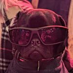@sweet_boy_gilbert - Instagram