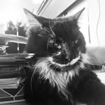 Gilbert&Sylvester - @gilbertandsylvester - Instagram