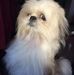 Gilbert Tan - Facebook