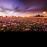 @gilbertterry5 - Instagram
