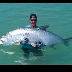 Todd Gilbert - @gilbert.todd - Instagram