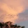 Evann Gilbert - @evann.gilbert - TikTok
