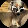 Gilbert Velazquez - @goopiii1 - TikTok