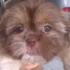 gilbertvelazquez80 - @gilbertvelazquez80 - TikTok