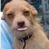 Gilbert - @gilbert_wang - TikTok
