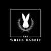 The White Rabbit - @thewhiterabbit.gilbert - TikTok