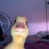 Gilberto Winters - @gilbertowinters360 - TikTok
