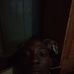 Gilbert Wise - Facebook