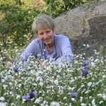 Donna Gilbert Wolfe - @farmorw_1960 - Instagram
