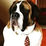 Samson Gilbert Woolley - @samsonthegoliath2017 - Instagram