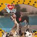 Gilbert Ybarra - Facebook