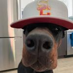Gilbert Yniguez - @gilbert.yniguez.92 - Instagram