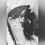 Gilberto Zarco - @gilberto.zarco.54 - Instagram