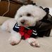 Gilbert Zhang - Facebook