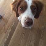 Gilbert Zimmerman - @gilbert.zimmerman - Instagram