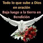 Gilberto Agudelo - @gilbertoagudelo - Instagram