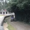 Gilberto Alanis - @gilberto.alanis4 - TikTok