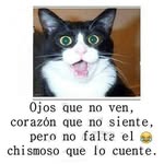 gilberto  cruz  alejo - @alejogilbertocruz - Instagram