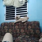 Gilberto Aleman - @gilberto.aleman.7106 - Instagram