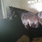 Gilberto Bahena - @gris_reina_ - Instagram