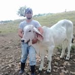 Gilberto Berganza - Facebook