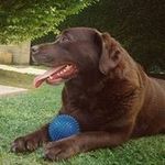 Gilberto Bonetti - @bonetti.gilberto - Instagram