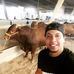 Gilberto Brito - Facebook