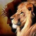 Gilberto Cabello Crisantos - @gilbertocrisantos - Instagram