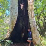 Gilberto Cabrera - @gilberto.cabrera.5855594 - Instagram