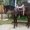 Gilberto Campos - @gilbertio._.campos - TikTok