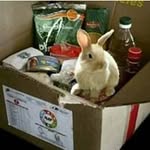 Gilberto Carrillo - @gilberto.carrillo.792197 - Instagram