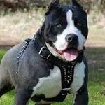 Gilberto Cordero - @gilberto.cordero.906 - Instagram