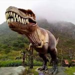 Gilberto Cordero - @cordero_gilberto - Instagram