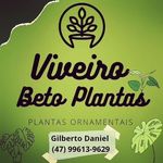 Gilberto Daniel - @gilberto.daniel.562 - Instagram