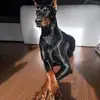 Gilberto Enciso Alvarado - @gilberto.enciso.a - TikTok