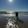 Gilberto Galvan - @gilberto.galvan6 - TikTok
