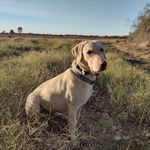 Gilberto Bernal Gamboa - @gilbertobernalgamboa - Instagram