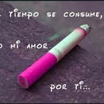 Gilberto grajales - @grajales_gilberto - Instagram