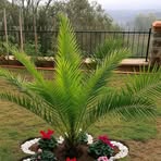 Gilberto Grajales - Facebook