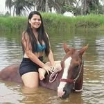 Gilberto Grajales - @gilberto.grajales.3367 - Instagram