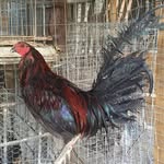 Gilberto Guardado - @gilberto.guardado.39 - Instagram